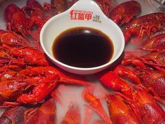 经典冰镇龙虾-红盔甲·小龙虾(定西路店)