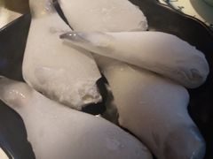 -二荆条·蜀鲜汇城市森林火锅