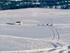 -塞罕坝国家级自然保护区