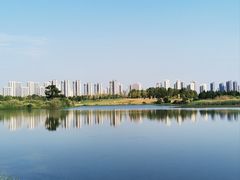 -洋湖国家湿地公园