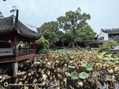 -上海醉白池公园