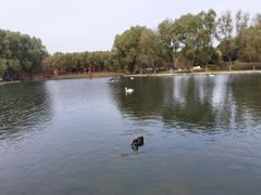 -哈尔滨北方森林动物园