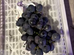 -马陆小张葡萄园农家乐