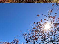 -北京金海湖景区