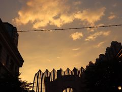 -循礼门鲜花花市(武汉循礼门店)