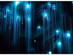 -怀托摩萤火虫洞