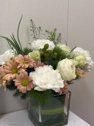 -北京俪婴妇产医院(朝阳大悦城店)