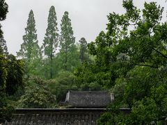 -白鹿洞书院