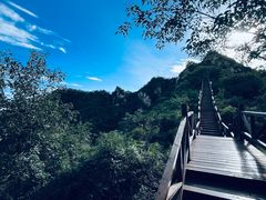 -大岭沟猕猴桃谷风景区