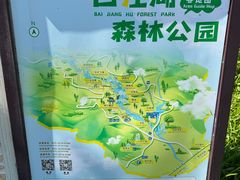 -广州白江湖森林公园