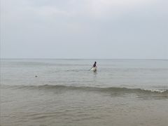 -日照海滨国家森林公园