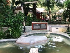 -碧水湾温泉