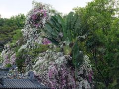 -深圳国际园林花卉博览园