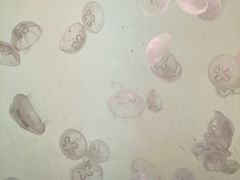 -沈阳海洋探索中心