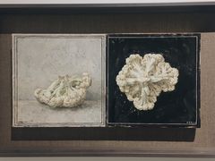-中国艺术研究院油画院