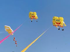 -潍坊滨海云门国际风筝放飞场