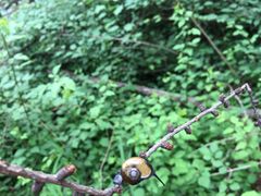 -沂蒙山旅游区云蒙景区(蒙山国家森林公园)