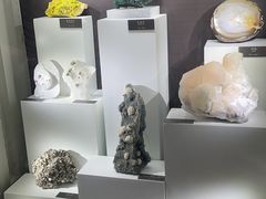 -重庆自然博物馆(新馆)