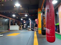 -臻元搏击格斗泰拳拳馆(港隆店)