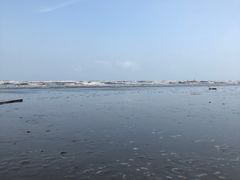 -江山半岛白浪滩景区