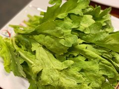 茼蒿-芦苇荡·酸汤鱼(回龙观店)