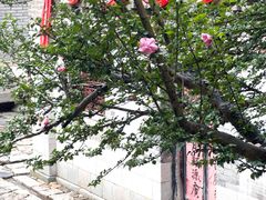 -牟氏庄园