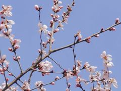 -朝阳公园