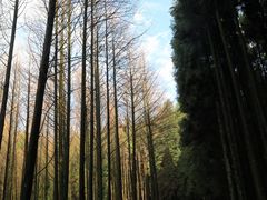-山王坪喀斯特国家生态公园