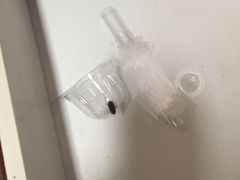 -上海交通大学医学院苏州九龙医院