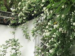 -西园戒幢律寺