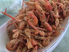 -巩本明鱼屋子