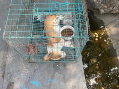 -青州古城