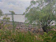 -上海吴淞炮台湾国家湿地公园