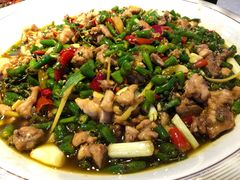 尖椒兔-新概念来凤鱼(璧山店)