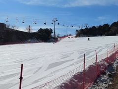 -蓟洲国际滑雪场