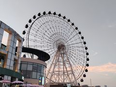 -琴岛之星摩天轮