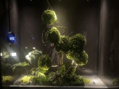 -唐宫足道·SPA·影院会馆(木渎店)