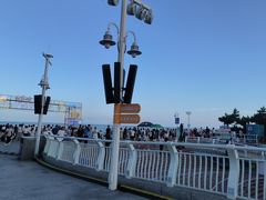 -海合安青岛极地海洋公园