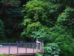 -广州市白云山风景名胜区