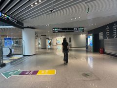 -望京西(地铁站)