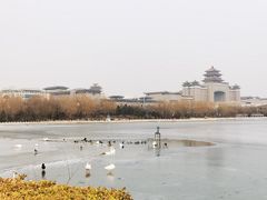 -莲花池公园