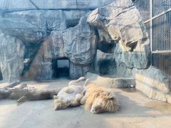 -南昌动物园