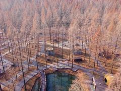 -黄海国家森林公园