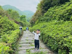-桃花岭景区