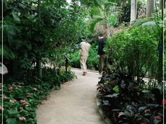 -南山植物园