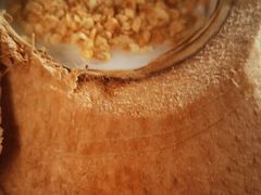 -亚龙湾中心广场