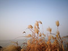 -上海市保健医疗中心