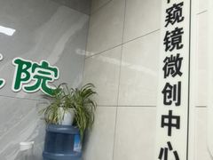 -半岛宠物医院24小时(白果林店)