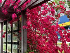 -宜家家居(高新商场店)