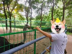 -长白岛森林公园